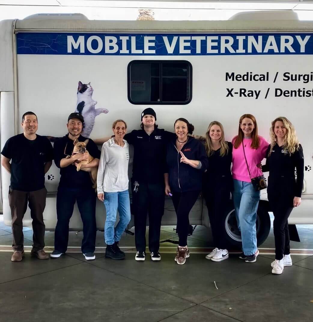 practice:city] Veterinary clinic