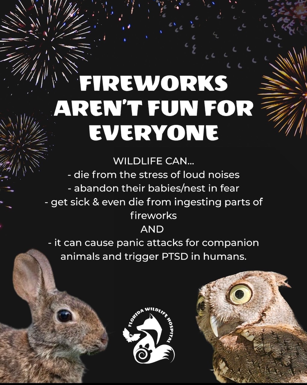 4th of July FW